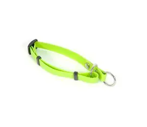 FENICA iQsil obroża wciągana zielona / Dla psów / Nylon / 15 mm / 25-44 cm