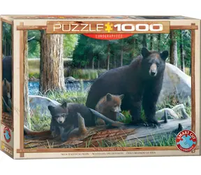 EUROGRAPHICS Puzzle Nowe odkrycia / 1000 elementów / 68 × 48 cm