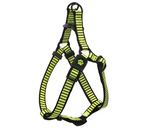 Szelki ACTIVE DOG Premium S limonkowe / Nylon / Dla małych psów / 1,5 x 45-63 cm