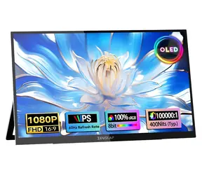 13,3" Zeuslap OL133ED / Monitor przenośny / OLED / FHD 1920×1080 / dotykowy / USB-C + mini HDMI