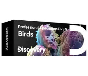 Discovery Prof Specimens DPS 5 / Zestaw gotowych okazów / Ptaki