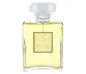 Chanel No. 19 Poudre woda perfumowana 100 ml