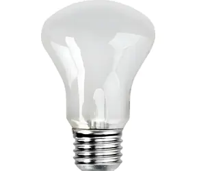 Żarówka Elinchrom Studio E27 / żarowa / 100 W / 196 V