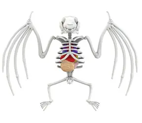 Simba Discover Bat Dissection / fioletowy szlam / 15 cm