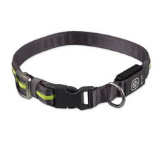 Obroża nylonowa LED Dog Fantasy USB, świecąca ML, zielona, 2,5x45-65 cm