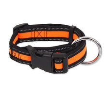 Obroża z neoprenu Dog Fantasy S pomarańczowa 2x27-37cm