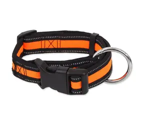Obroża z neoprenu Dog Fantasy M pomarańczowa 2,5x34-49cm
