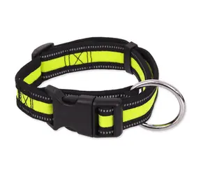 Obroża z neoprenu Dog Fantasy M limonkowa 2,5x34-49cm