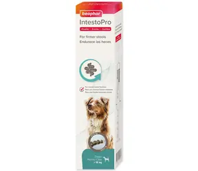 Beaphar Pasta IntestoPro L dla dużych psów 2x 20ml