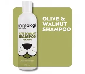 Animology Essentials Szampon dla psów oliwka i orzech włoski 250ml