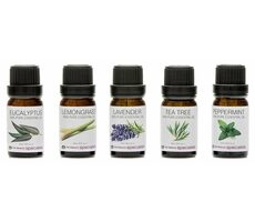 Kolekcja olejków eterycznych RIO 100% Pure / Olejki aromatyczne / 5x 10ml / eukaliptus / trawa cytrynowa / mięta / drzewo herbaciane / lawenda