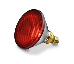 Żarówka zamienna BEURER Philips do lampy podczerwieni IL35 / 150W