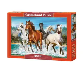 Castorland 200702 Konie / 2000 części / od 9 lat