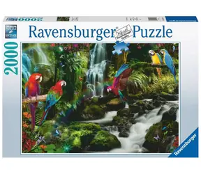 Ravensburger Kolorowe papugi w dżungli / 2000 sztuk / od 14 lat