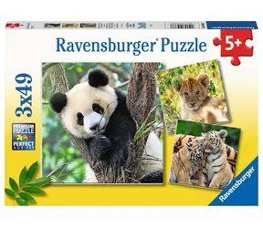 Ravensburger Panda, tygrys i lew - 3 x 49 sztuk / od: 5 lat