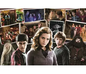 Trefl - Puzzle - Harry Potter z przyjaciółmi / 160 elementów / 41 x 27,5 cm / wiek 6+
