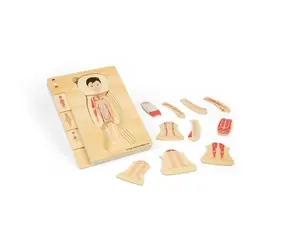 Bigjigs Toys Drewniana układanka Anatomia chłopca / 26 elementów / od 3 lat