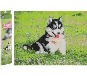 GRAFIX Obraz diamentowy Husky / 40x50 cm