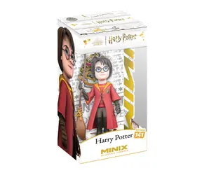 Minix Filmy: Harry Potter - Harry Potter (Quidditch)