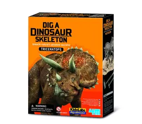 Szkielet dinozaura 4M - Triceratops / od 8 lat