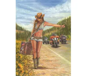 Puzzle ANATOLIAN American Gypsy / 1000 elementów / od 14 lat