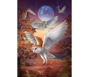ART PUZZLE 5273 Puzzle Nocne Marki / 1000 elementów / od 15 lat