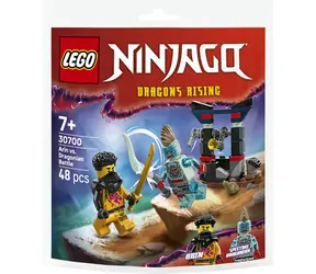 LEGO® NINJAGO® 30700 Pojedynek: Arin kontra smok / Liczba elementów: 48 / od 7 lat