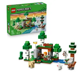 LEGO® Minecraft® 21593 Pierwsza nocna przygoda / Liczba elementów: 301 / od 8 lat