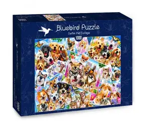 BlueBird Puzzle Kolaż selfie zwierząt / 1000 elementów / od 14 lat