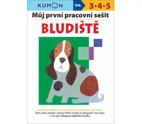Svojtka & Co. Mój pierwszy zeszyt ćwiczeń Maze / od 3 lat