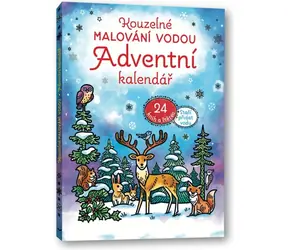 Svojtka & Co. Magiczne malowanie wodą: Kalendarz adwentowy / od 3 lat