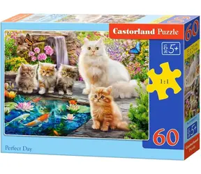 Castorland 066377 Puzzle Idealny Dzień / 60 elementów / od 5 lat