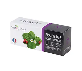 Véritable nasiona poziomki / do inteligentnych doniczek Véritable