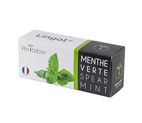 Nasiona mięty Véritable / dla inteligentnych siewników Véritable