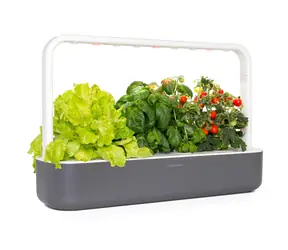 Click And Grow SMART Garden 9 szary / Inteligentna doniczka / podlewanie automatyczne / 3x pomidory / 3x bazylia / 3x sałata