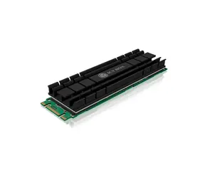 Icy Box IB-M2HS-701 antracytowy / Cooler na dysk SSD M.2 / pasywny