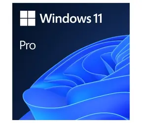 Microsoft Windows 11 Pro CZ 64-bitowy (OEM) / System operacyjny / DVD dla wersji 64-bitowej / Czeski / na 1 komputer PC nieprzenoszalny