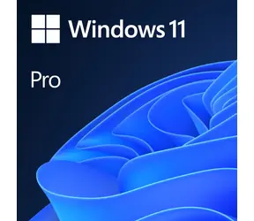 Windows 11 Pro / licencja elektroniczna / czeski / na 1 komputer, nieprzenoszalna - można kupić tylko z nową kompilacją