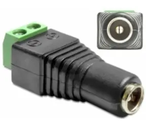 Adapter DeLock DC 2,1 x 5,5 mm żeński do listwy zaciskowej 2 piny