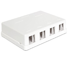 DeLock Keystone Box, 4-portowy / montowany na ścianie