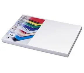 Tektura Fellowes Chromo A3 / 250g / biała