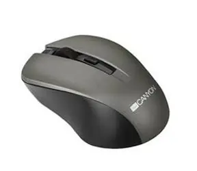 Canyon CNE-CMSW1G / optyczny bezprzewodowy / 800/1000/1200 dpi / USB / szary