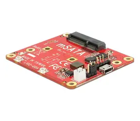 Konwerter DeLock Raspberry Pi USB Micro-B żeński i złącze pinowe USB > mSATA 6 Gb/s