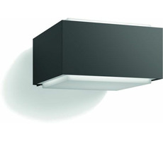 Philips Hedgehog 42W antracyt / lampa zewnętrzna / E27 / IP44 / bez źródła