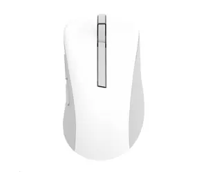 Asus MD102 biała / bezprzewodowa mysz optyczna / biurowa / optyczna / 1600 DPI / USB+BT 