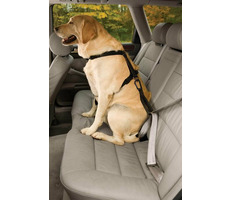 Kurgo Seatbelt Tether czarny / Pas samochodowy bezpieczeństwa dla psów z pętlą 