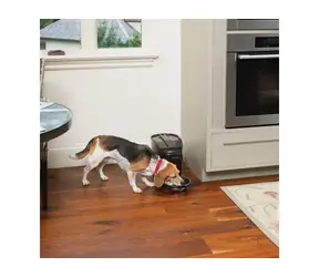 PetSafe Healthy Pet Simply Feed / Podajnik / wydaje do 12 posiłków dziennie