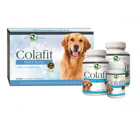 Colafit Opakowanie upominkowe - duże / Colafit Max forte 200 puszek + 50 puszek