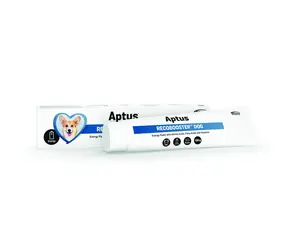 Aptus Recobooster Dog 100g / Smaczna pasta uzupełniająca energię