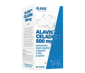 ALAVIS Celadrin 500 mg 60 tabletek